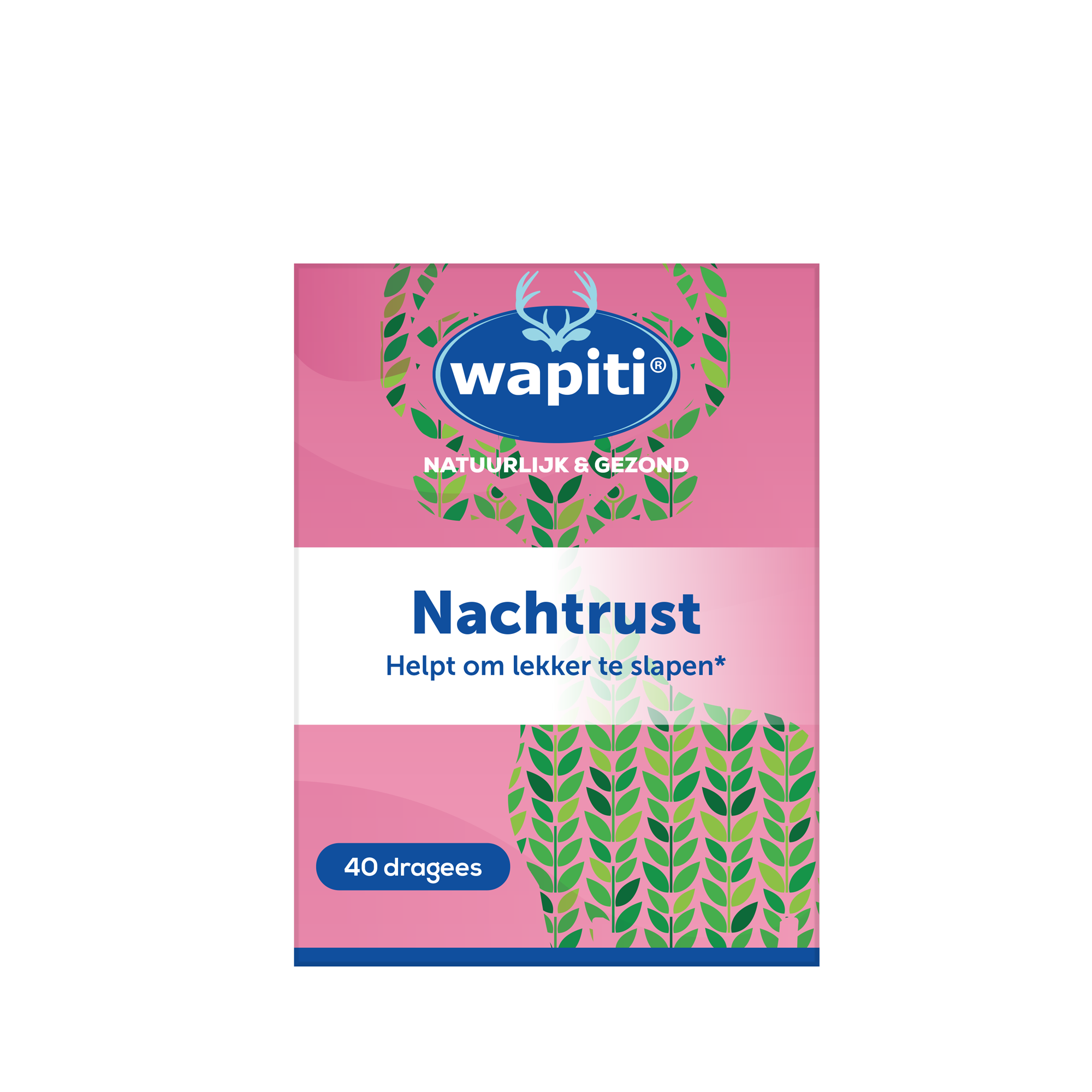 Wapiti Nachtrust40 Packshot 2023
