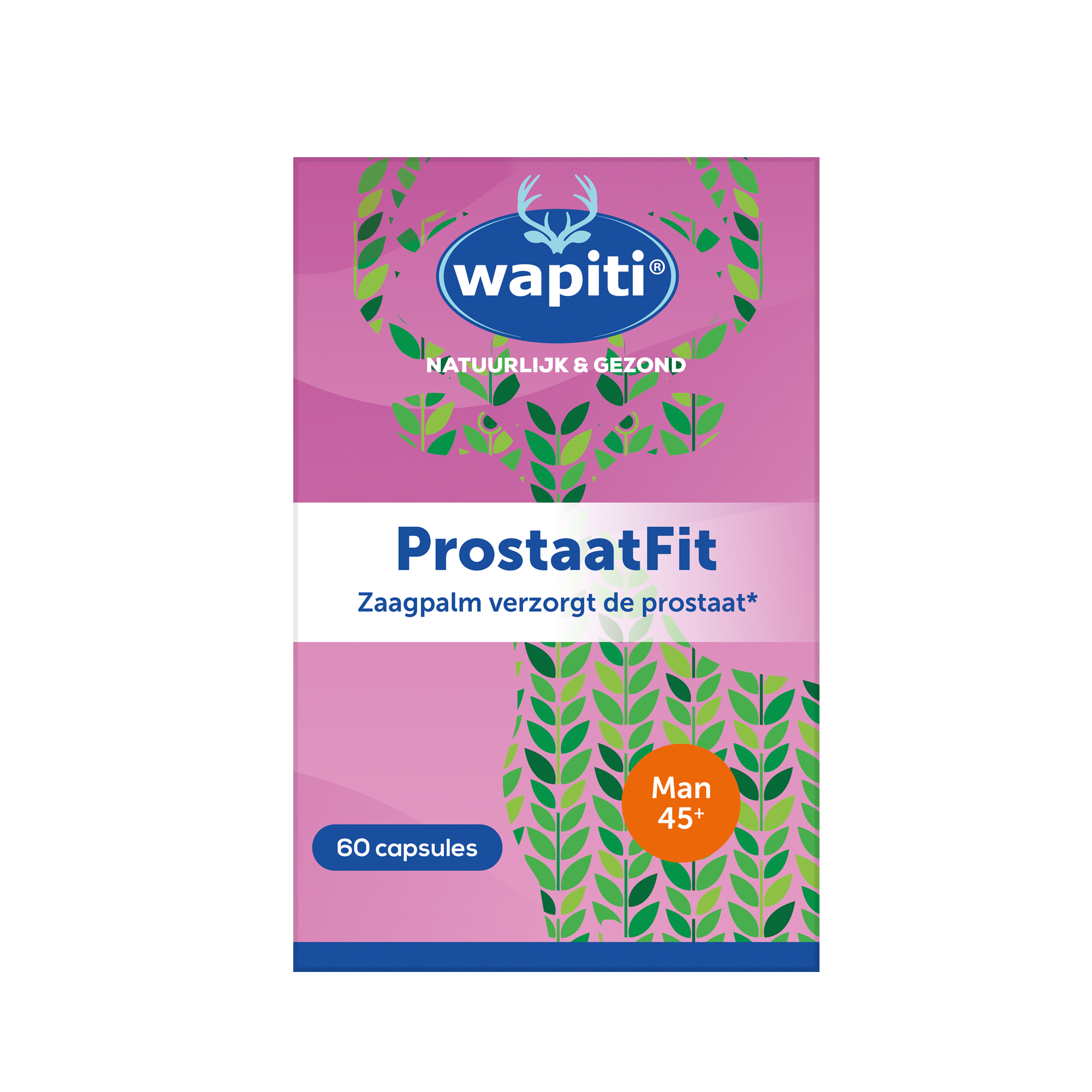 Wapiti ProstaatFit