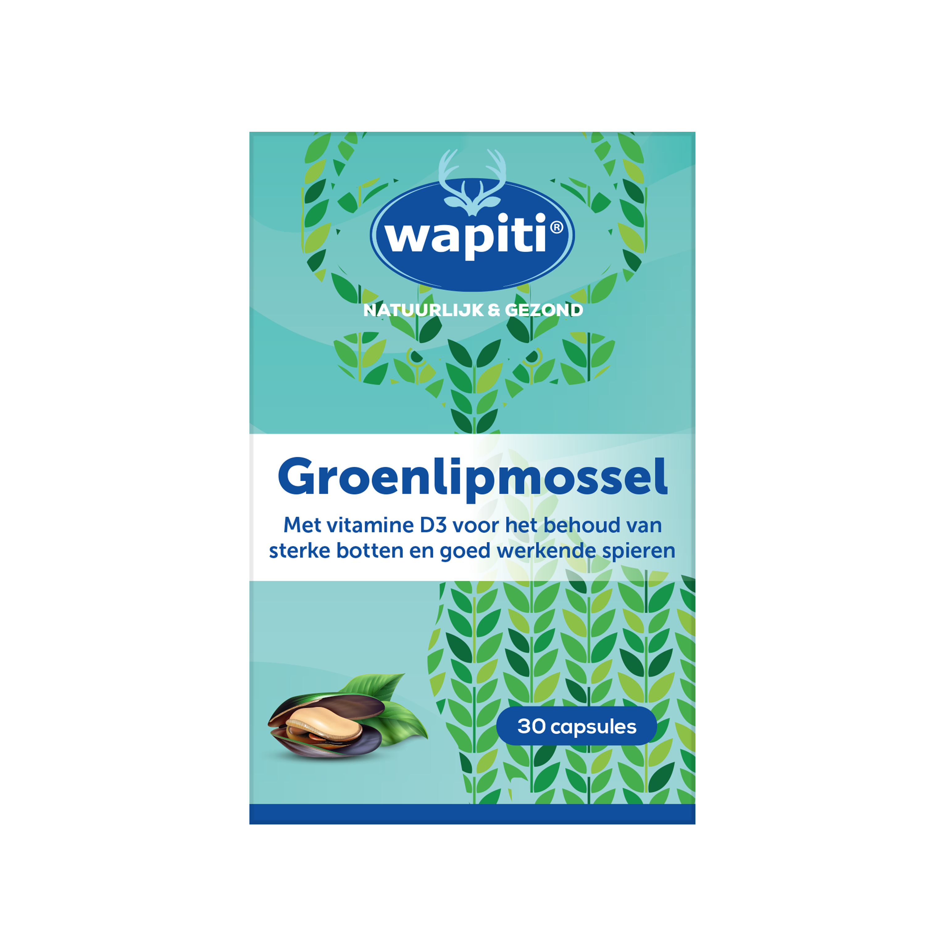 Wapiti Groenlipmossel